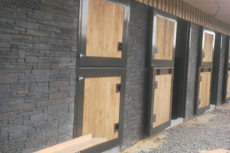 IMG-20210321-WA0048-min